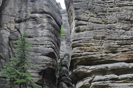 岩石, 砂岩, 自然, 捷克共和国