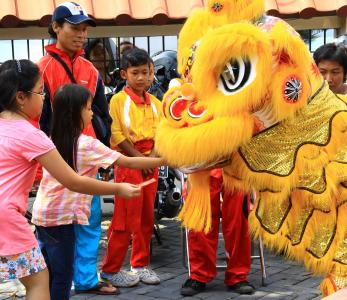 中文, 新的一年, 庆祝活动, 龙, 传统, 文化, 符号