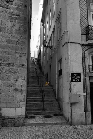 葡萄牙, 里斯本, 小巷, 楼梯, 气球
