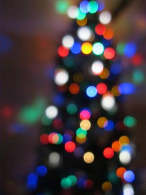圣诞节, 树, 颜色, 灯, 圣诞节, 针叶树, 常绿