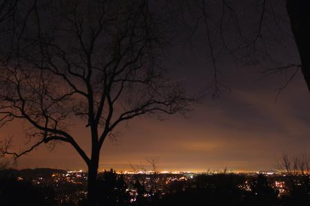 城市, 晚上, 树, 晚上张照片, 灯, 在晚上, 长时间曝光