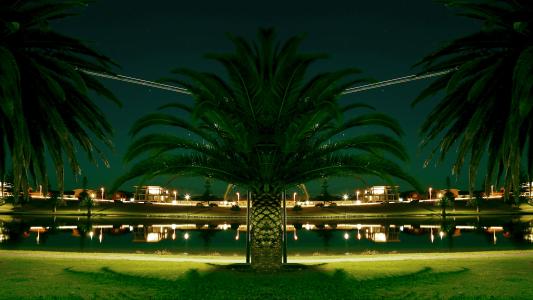 棕榈树, 灯笼, 湖, 池塘, 公园, 晚上, 城市