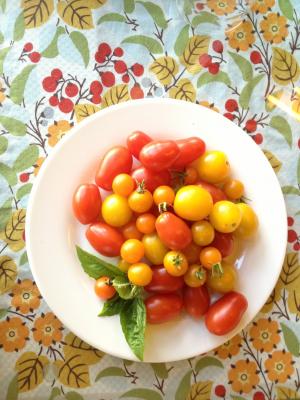 西红柿, 樱桃番茄, 新鲜, 樱桃, 食品, 番茄, 健康