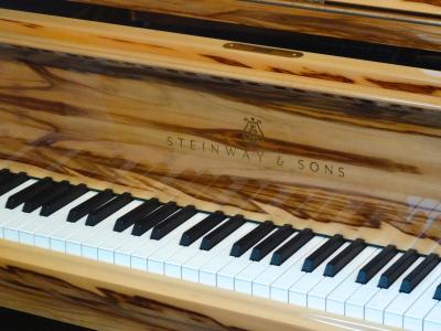 钢琴, 钢琴键, 木质乐器