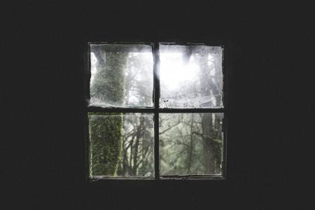 黑暗, 脏, 森林, 玻璃, 窗口