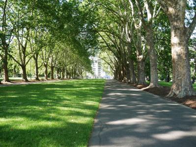 公园, 树木, 自然, 建筑, 城市, 绿色, 路径