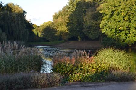 borbeck, 城堡公园, 北莱茵威斯特法伦, 自然, 植物, 景观, 视图