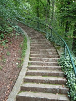 楼梯, 格拉茨, 阿里·斯克斯伯格, 徒步旅行, 步行, 绿色, 叶子