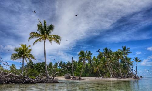 岛, 环礁湖, 波利尼西亚, 棕榈树, 树, 云的天空, 天空