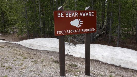 熊, 警告, 警告标志, 动物, 野兽, 危险