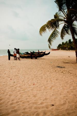 海滩, 棕榈, 小船, 假日, 沙滩, 印度