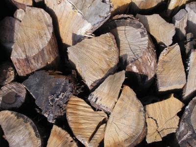 木材, 日志, 森林, 木头堆, 木柴, 木材-材料, 树