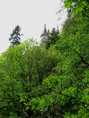 童话城堡, 克丽丝汀, poellatschlucht, 岩石, 云杉, 森林, 巴伐利亚