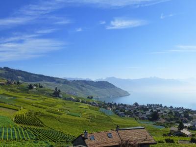 瑞士, 景观, 湖, 水, 蓝色, 天空, 自然