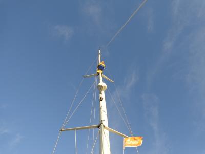 帆, 桅杆, 皮带, 修复, 鲈鱼, 风, 天空