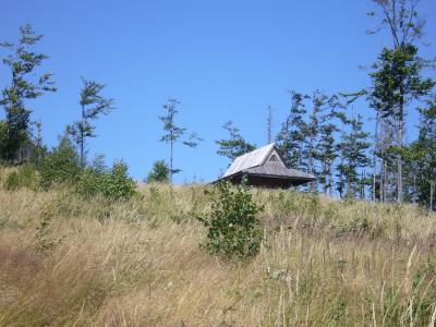 小屋, 草甸, 森林, 草, 夏季, 波兰, 垫片
