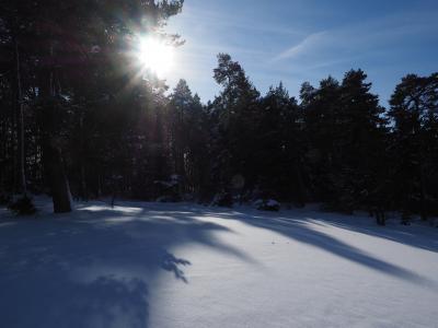 雪景, 冬天, 太阳, 阴影, 雪, 感冒, 雪原上