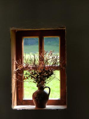 窗口, 老, 静物, 国家方面, 花瓶, 干燥花