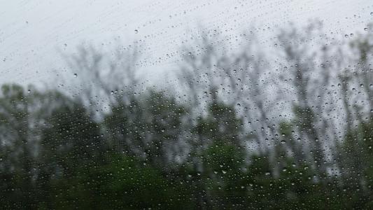 雨, 天气, 窗口, 水滴, 下着雨, 湿法, 树木