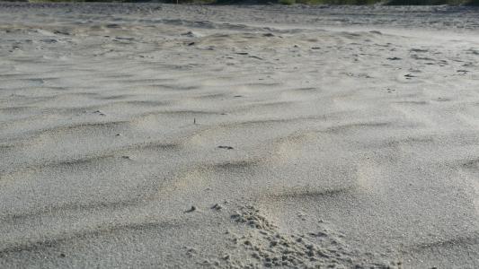 沙子, 海滩, 风