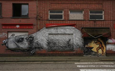 geisterstadt doel 在比利时, 大鼠, 涂鸦, 建筑, 砖