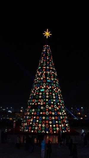 圣诞节, 树, 灯, 星级, 晚上, 庆祝活动, 照明