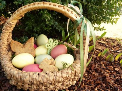 复活节的巢, 复活节彩蛋, 彩色, osterkorb, 花园, 寻找复活节篮子, 饼干