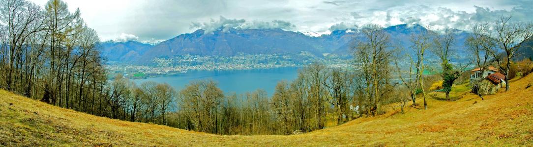 湖, 阿尔卑斯山, 全景, 瑞士