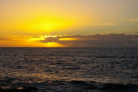 日落, 海滩, 特内里费岛, 加那利群岛