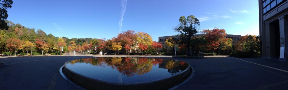 反思, 喷泉, 广场, 蓝蓝的天空, 秋天的叶子, 刷新, 颠倒