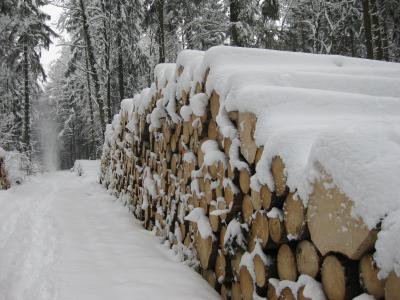 雪, 木材, 树干, 寒冷, 白雪皑皑