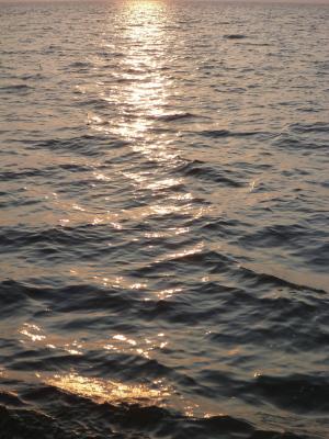 日落, 海, 水, 波, 平静, 反射, 涟漪