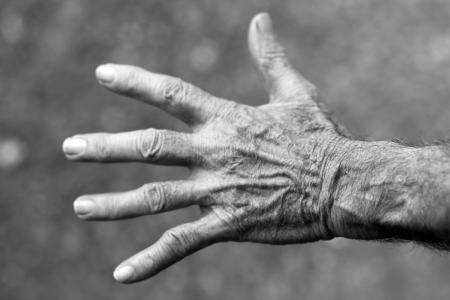 手, 老年妇女, 皱纹, 人类的手, 高级成人, 人的手指, 黑色和白色