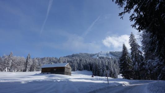 冬天, 滑雪, 雪, 太阳, 小屋, 寒冷, 白雪皑皑