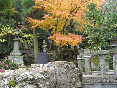 日本, 秋天, 景观