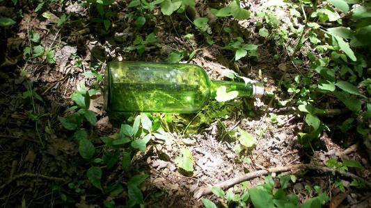 瓶, 玻璃, 绿色, 垃圾, 污染, 环境