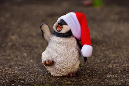 企鹅, 图, 圣诞节, 圣诞老人的帽子, 装饰, 有趣, 动物