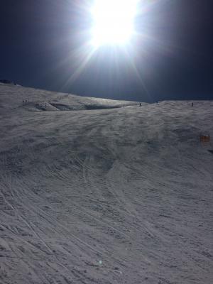 雪, 阳光滑雪, 冬天