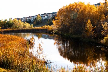 加拿大, 秋天, 山谷, 河, 水, 反思