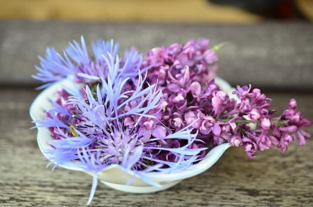 紫色, 瓣, 群集, 花, 白色, 陶瓷, 碗里