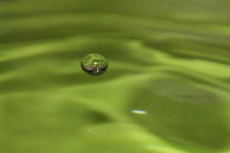 滴灌, 液体, 绿色, 水