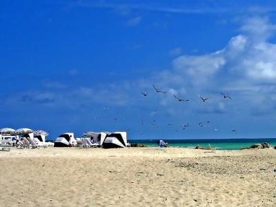 海滩, 迈阿密, 海, 蓝色, 游客