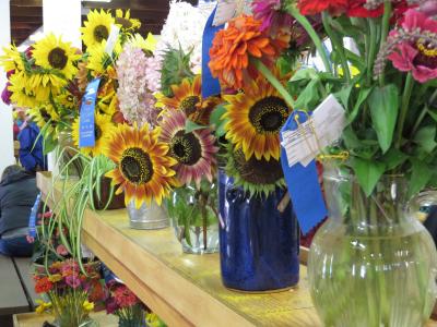 花, 公平, 蓝丝带优胜者, 束鲜花, 花瓶, 向日葵, 竞争