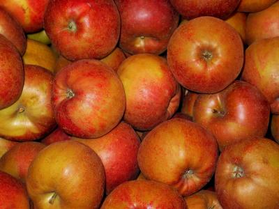 黑板苹果, 苹果, boskoop, 轴承苹果, 烤的苹果, 出售, 健康