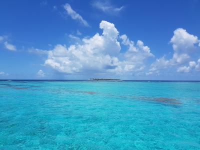 多巴哥珊瑚礁, 格林纳丁斯, 热带, 海洋, 加勒比海, 天空, 弛豫