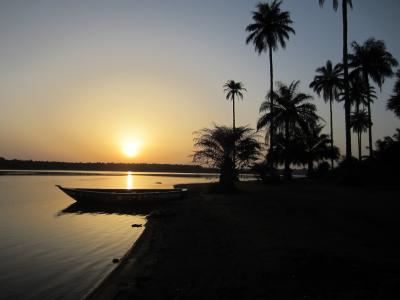 日落, 几内亚, 非洲, 棕榈树