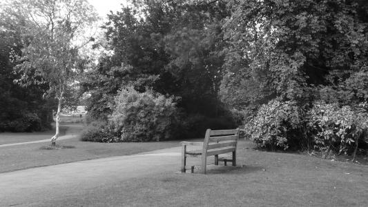 板凳, 长廊, 公园, 黑色, 白色, 背景, 树木