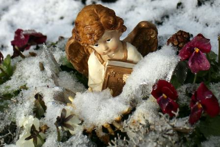 冬天, 雪, 天使, 花, 大雪封门, 弗罗斯特, 白雪皑皑