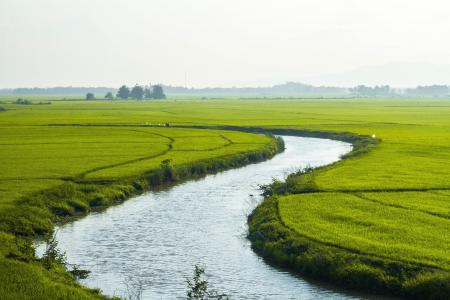 国家, 自然, 大米, 河, 越南, 农业, 字段