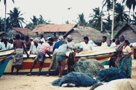 渔民, 人, 费舍尔, 渔村, 科伦坡, 斯里兰卡
